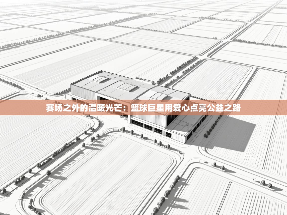 赛场之外的温暖光芒：篮球巨星用爱心点亮公益之路  第1张